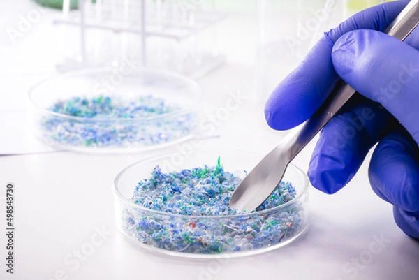 Fototapeta hand of traces of plastic and microplastic in petri dish, analyzed in laboratory, study of environmental problem