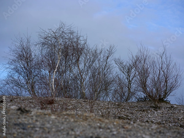 Fototapeta mines d'abbaretz