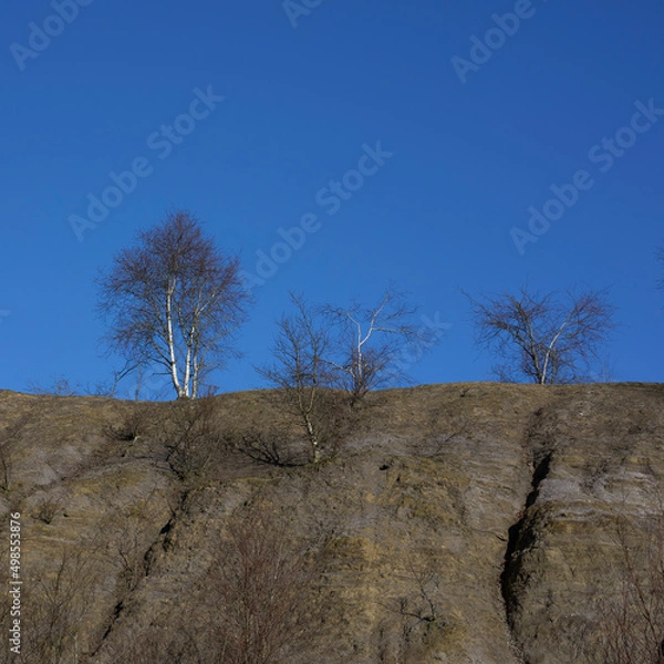 Fototapeta mines d'abbaretz