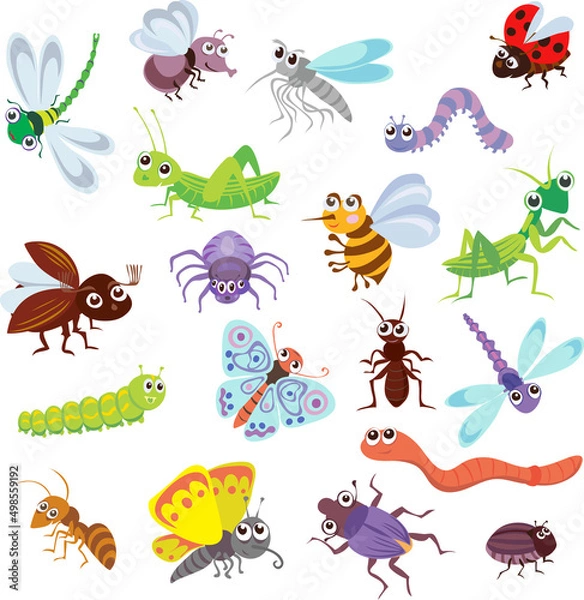 Fototapeta funny bugs and other insects, pattern, bugs, various poses and situations, drawing, vector, images, cartoon