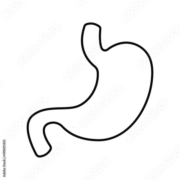 Fototapeta Stomach icon. medic sign. vector illustration