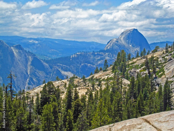 Obraz mountains and trees 