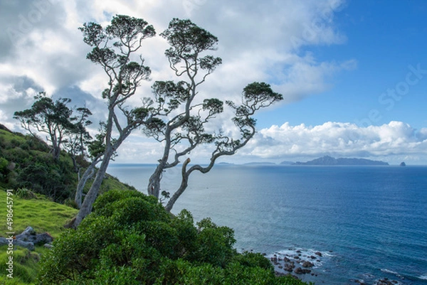 Obraz tree on the beach