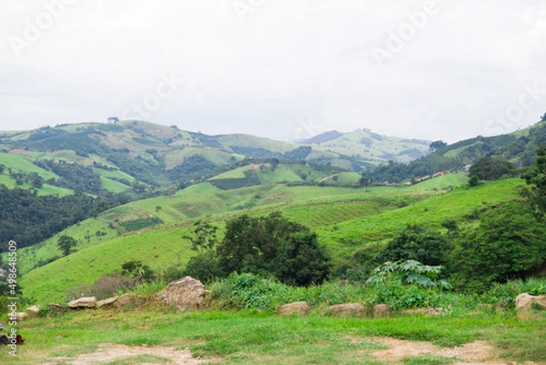 Obraz landscape with mountains and trees