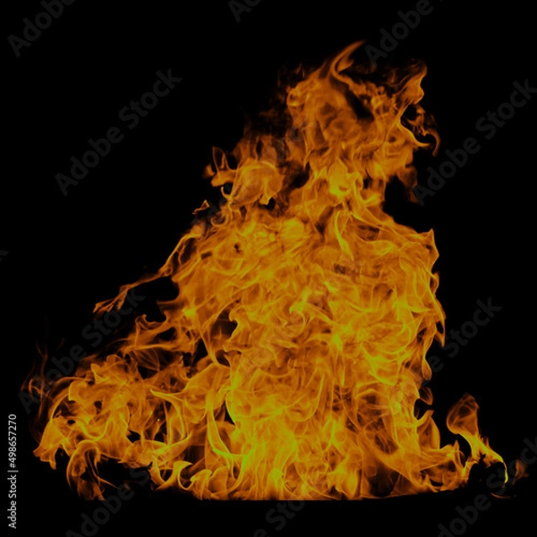 Obraz fire in a black background