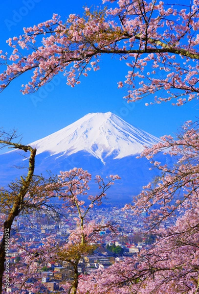 Obraz 20220412富士吉田市・富士見孝徳公園の桜と富士山