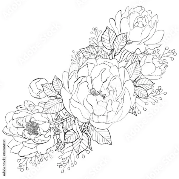 Fototapeta Bouquet of wild flowers. Composition from botanical elements. Flowers and leaves in line art style. Flower coloring page.