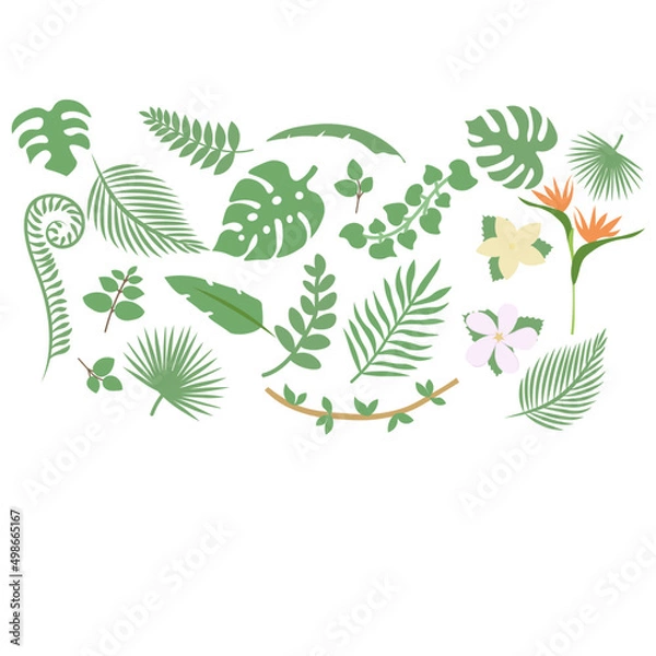 Obraz set of tropical leaves