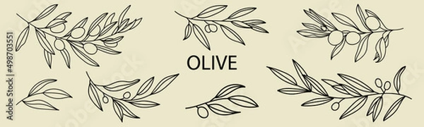 Fototapeta A set of Silhouettes of Olive Branches isolated on a light background in a simple style. Vector Illustrations of Olive Tree Branches With fruits and Leaves to create logos, patterns, and more