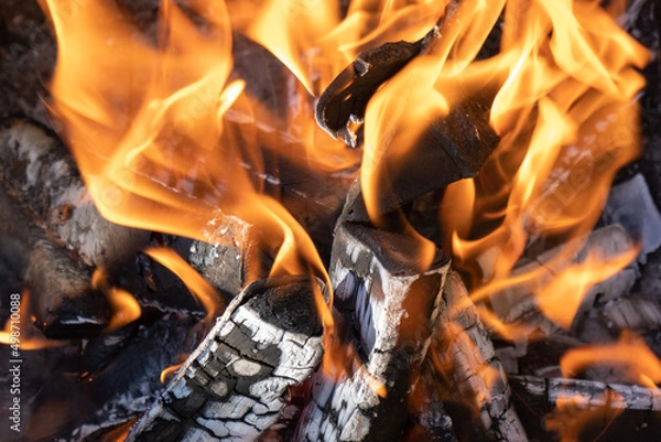 Obraz Open fire burning woods background