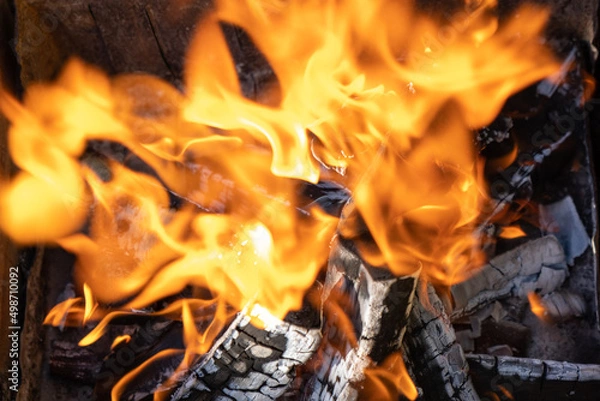 Obraz Open fire burning woods background