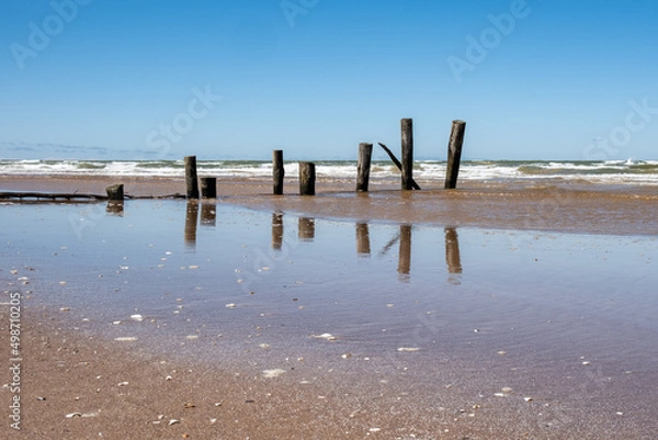 Obraz Baltic seaside view in summer