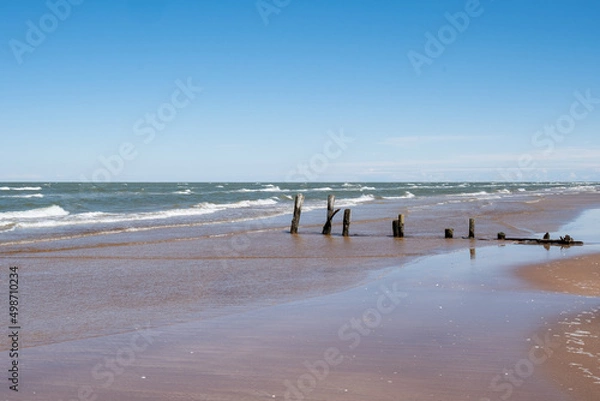 Obraz Baltic seaside view in summer