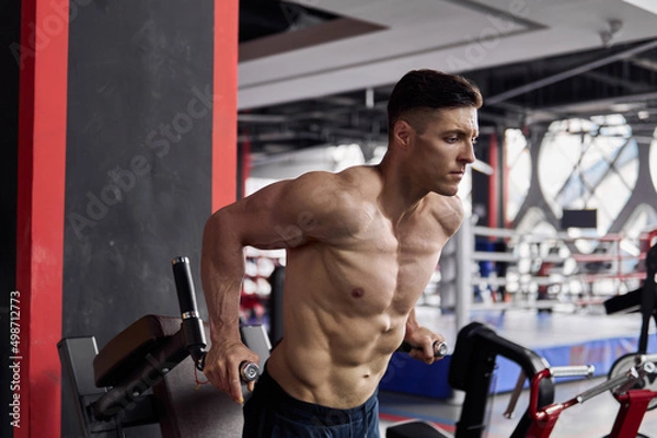 Fototapeta Young muscular man doing dips in the gym.