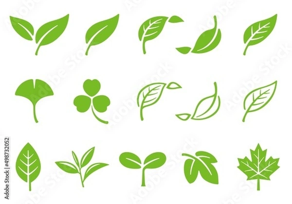 Fototapeta 葉っぱ　葉　アイコン　イラストセット