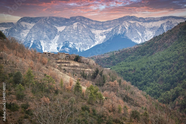 Obraz landscape in park