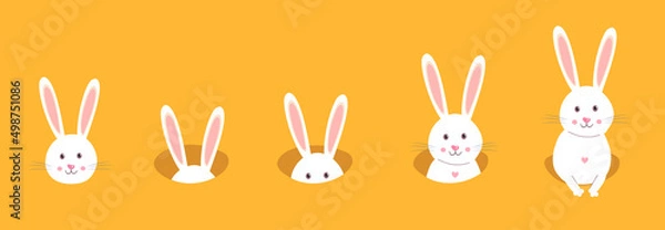 Fototapeta Set icon Easter rabbit, easter Bunny. Flat vector illustration.