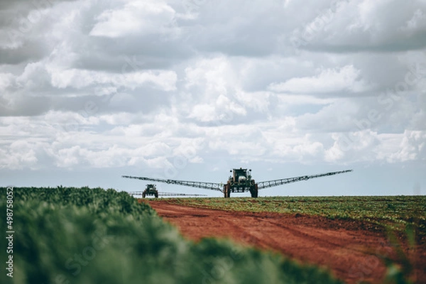 Obraz seedling system with clouded sky