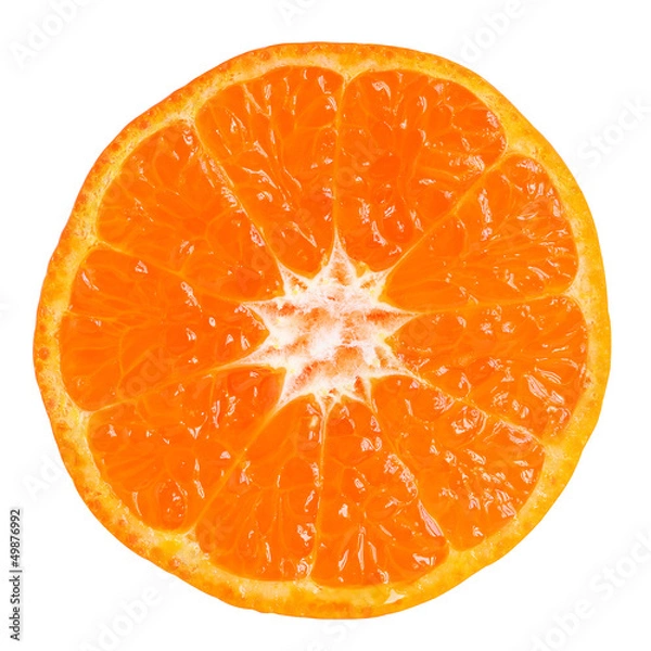 Obraz Tangerine slice