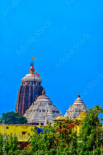 Obraz Jagannath temple in Puri, India