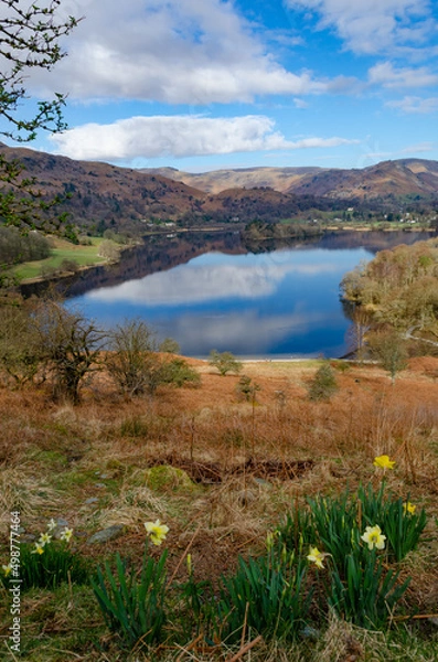Fototapeta Grasmere from Loughrigg Terrace in early Spring with daffodils and reflections in lake, Lake District, England