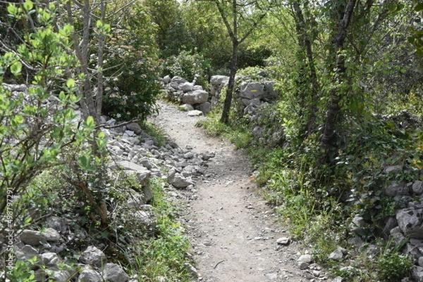 Obraz Chemin de pierre