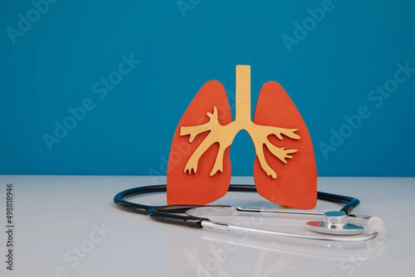 Fototapeta Disease prevention concept. Model of lungs and stethoscope are on doctor's table