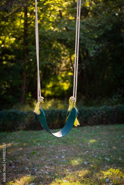 Obraz Swinging in Summer Light