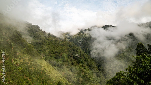 Fototapeta coffee landscape