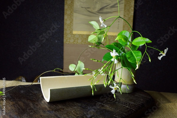 Obraz 初夏の花を活ける