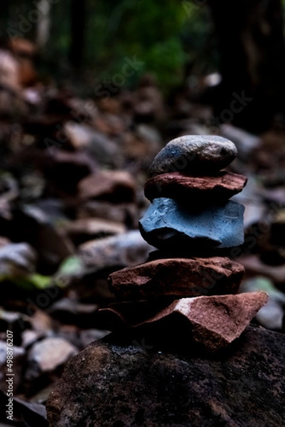 Obraz stones in the forest