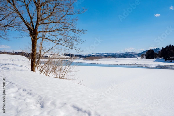 Fototapeta 雪景色