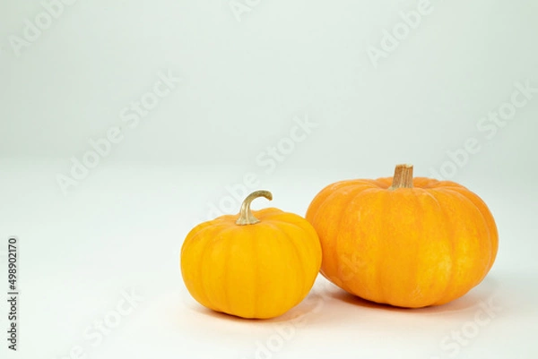 Fototapeta 飾りカボチャ