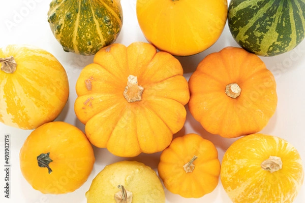 Fototapeta 飾りカボチャ