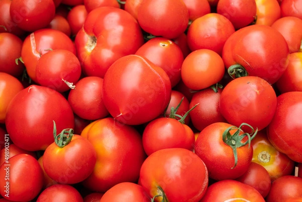 Fototapeta ミニトマト