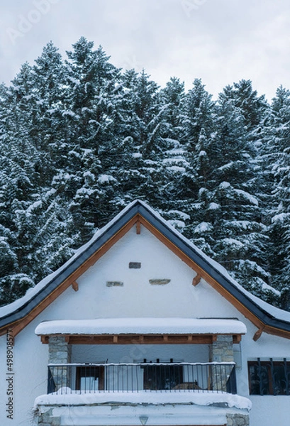 Obraz cabin in the winter  mountains