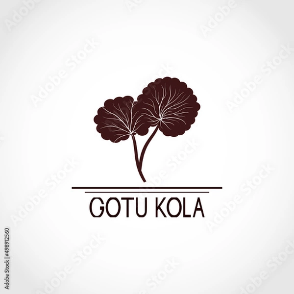 Fototapeta Gotu kola grass. Centella asiatica. Medicinal plant. Logo