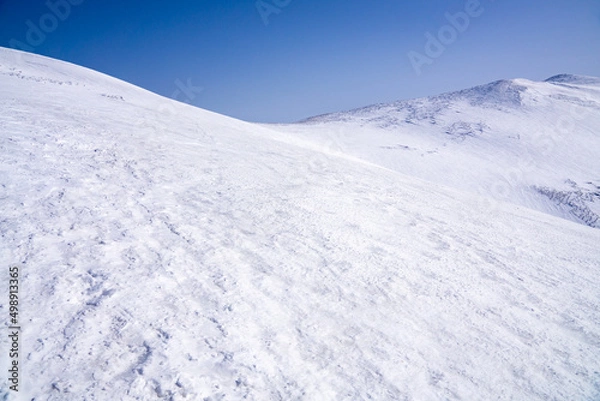 Fototapeta 雪に覆われた山肌