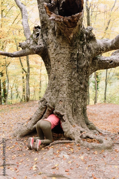 Obraz back of Woman trying hide in hole of old tree in forest