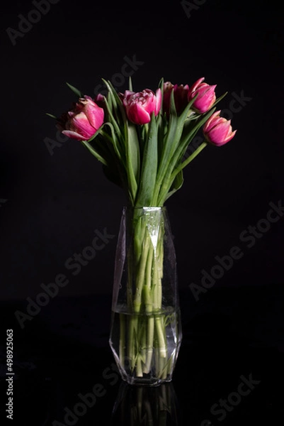 Fototapeta Pink tulips in a vase on a black background