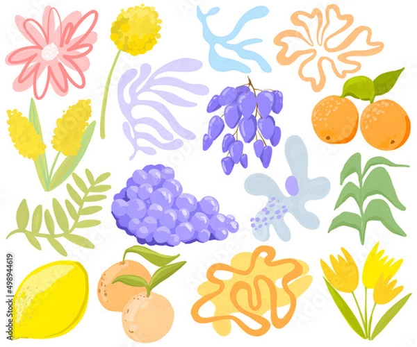 Fototapeta Set of abstract spots and fruits on a white background. Hand drawn fruits, plants, dots and lines in modern minimalist trendy style. Summer mood.