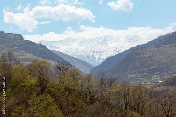 Fototapeta Spring in the mountains of Chechnya.
