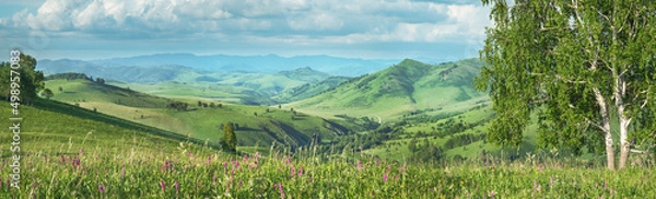 Obraz Panoramic view of a summer day in the mountains, grass in the foreground