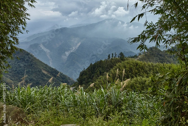 Fototapeta Mountains and clouds background n Alishan mountain in Taiwan
