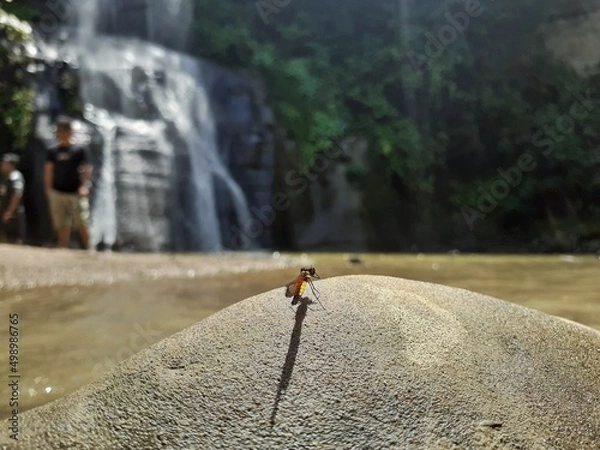 Obraz waterfall in the mountains
