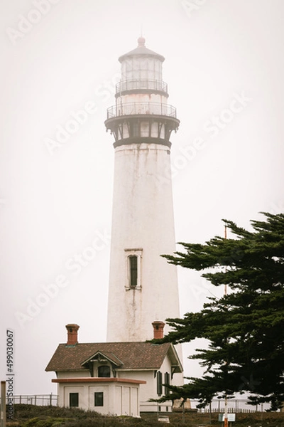 Obraz lighthouse on the coast