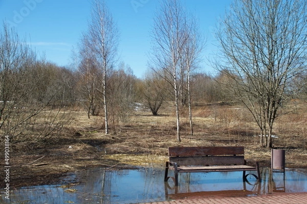 Fototapeta park.spring. Creek. spring forest. thawed patch. first sprout. rebirth. holiday of life. prosperity. branch . stem. first flower.