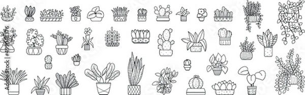 Fototapeta Collection of indoor plants. A set of vector illustrations on a white background.
