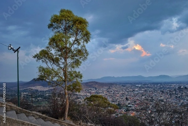 Obraz landscape with trees and clouds
