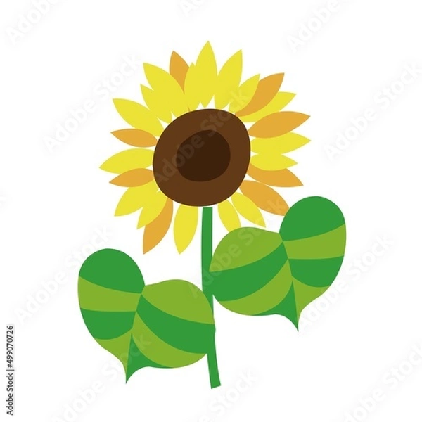 Fototapeta 1本のひまわり